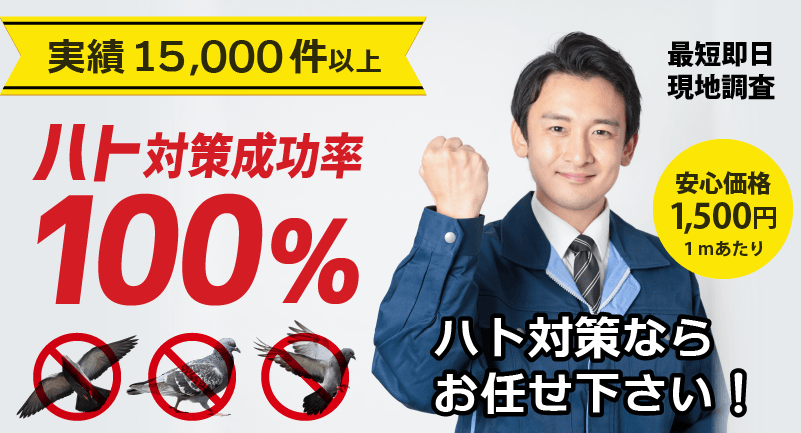 ハト対策ならお任せください！