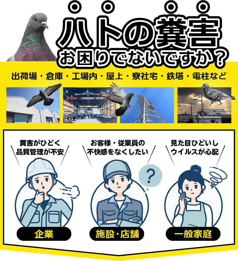 ハトの糞害お困りではないですか？