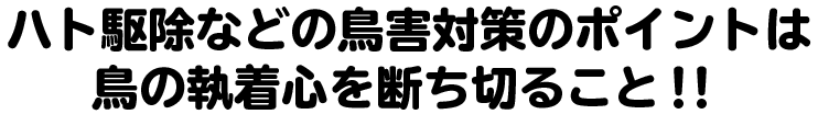 鳥の執着心を断ち切る
