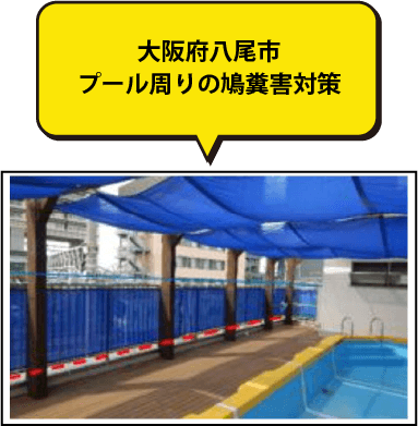 大阪府八尾市 プール周りの鳩糞害対策