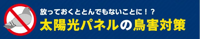 放っておくととんでもないことに！？太陽光パネルの鳥害対策
