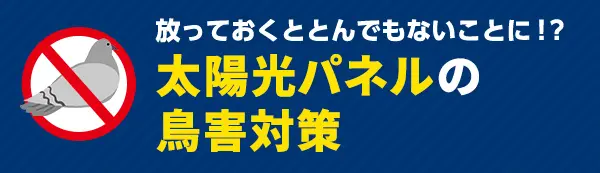 放っておくととんでもないことに！？太陽光パネルの鳥害対策