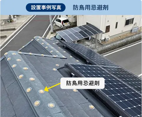 設置事例写真：防鳥用忌避剤