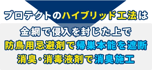 プロテクトのハイブリッド工法は金網で侵入を封じた上で、防鳥用忌避剤で帰巣本能を遮断、消臭消毒液剤で消臭施工